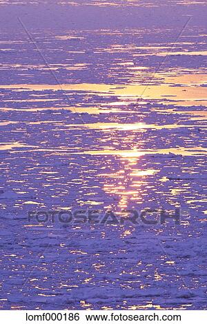 Drift ice, Hokkaido View Large Photo Image Stock Photograph - Drift ice, Hokkaido. Fotosearch