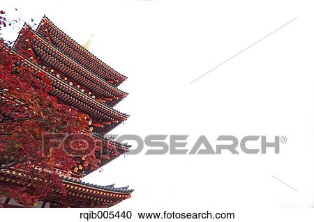 Stock Image - Five-storied pagoda and Autumn leaves. Fotosearch