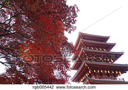 Stock Image - Five-storied pagoda and Autumn leaves. Fotosearch