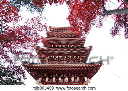 Five-storied pagoda and Autumn leaves View Large Photo Image Stock Photo - Five-storied pagoda and Autumn leaves. Fotosearch