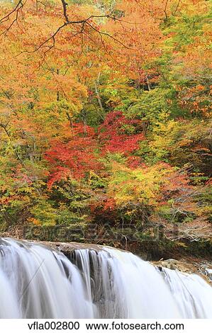 Stock Image - Fudou Waterfall, Miyagi Prefecture. Fotosearch