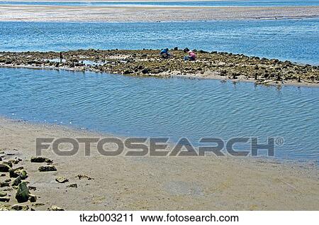 Fujimae-Higata Tidal Flat, Aichi Prefecture View Large Photo Image Stock Image - Fujimae-Higata Tidal Flat, Aichi Prefecture. Fotosearch
