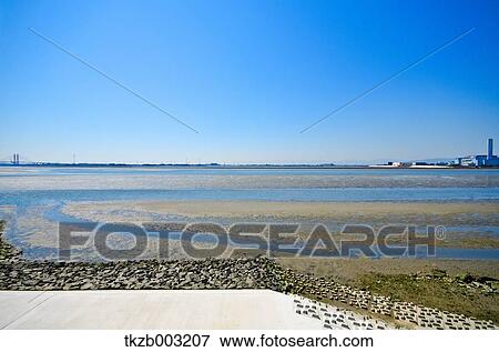 Stock Photo - Fujimae-Higata Tidal Flat, Aichi Prefecture. Fotosearch