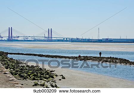 Fujimae-Higata Tidal Flat, Aichi Prefecture View Large Photo Image Stock Photo - Fujimae-Higata Tidal Flat, Aichi Prefecture. Fotosearch