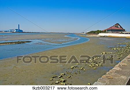 Fujimae-Higata Tidal Flat, Aichi Prefecture View Large Photo Image Stock Photo - Fujimae-Higata Tidal Flat, Aichi Prefecture. Fotosearch