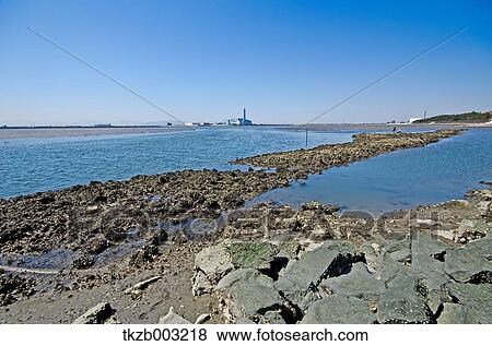 Fujimae-Higata Tidal Flat, Aichi Prefecture View Large Photo Image Stock Photo - Fujimae-Higata Tidal Flat, Aichi Prefecture. Fotosearch