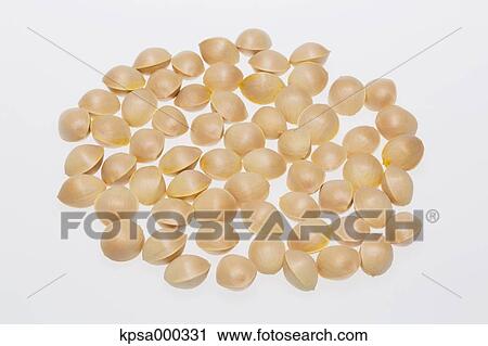 Ginkgo fruits View Large Photo Image Stock Image - Ginkgo fruits. Fotosearch