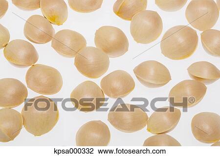 Stock Image - Ginkgo fruits. Fotosearch