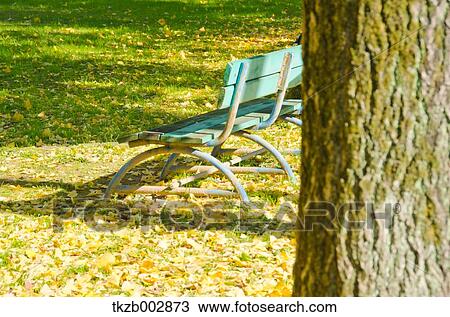 Ginkgo leaves View Large Photo Image Stock Image - Ginkgo leaves. Fotosearch