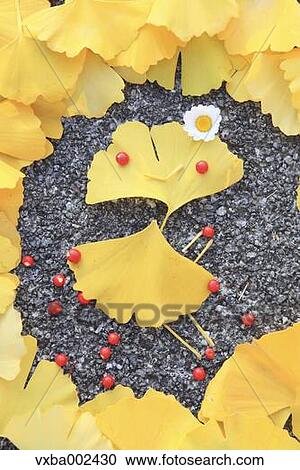 Ginkgo leaves View Large Photo Image Stock Image - Ginkgo leaves. Fotosearch