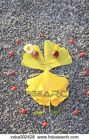 Ginkgo leaves View Large Photo Image Stock Photo - Ginkgo leaves. Fotosearch