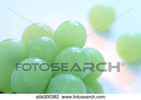 Stock Image - Grape. Fotosearch