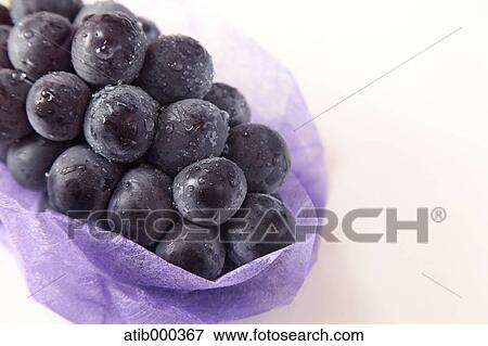 Stock Photo - Grape. Fotosearch
