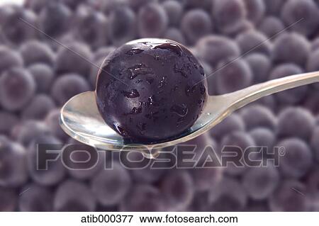 Grape View Large Photo Image Stock Photo - Grape. Fotosearch
