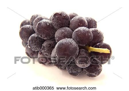 Grape View Large Photo Image Stock Photography - Grape. Fotosearch