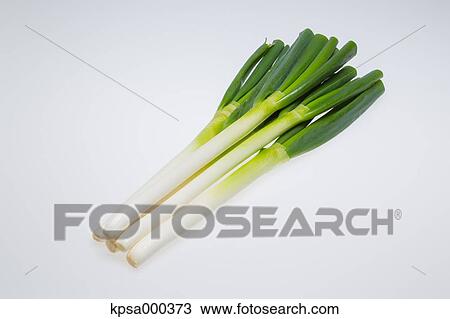 Green onion View Large Photo Image Stock Image - Green onion. Fotosearch