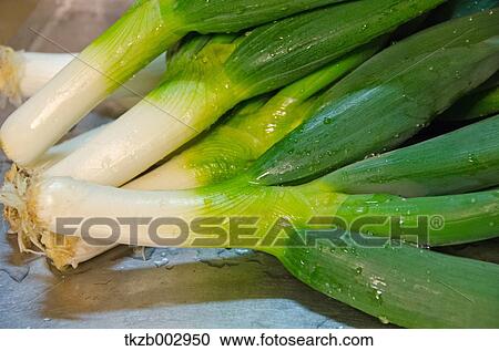 Stock Image - Green onions. Fotosearch
