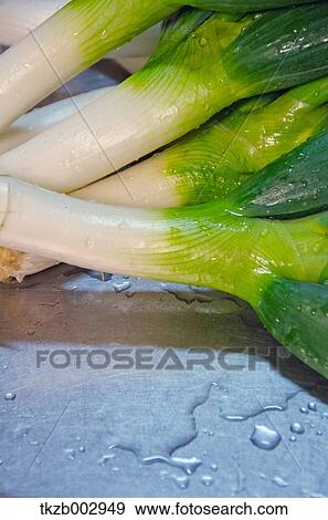 Stock Photo - Green onions. Fotosearch