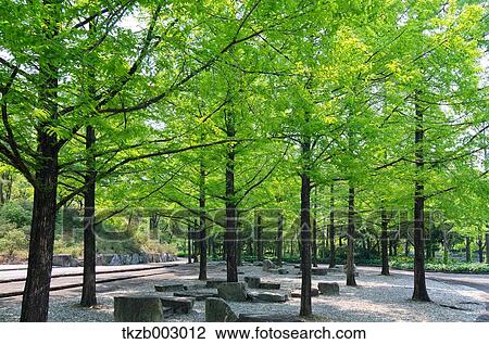 Greenery View Large Photo Image Stock Image - Greenery. Fotosearch