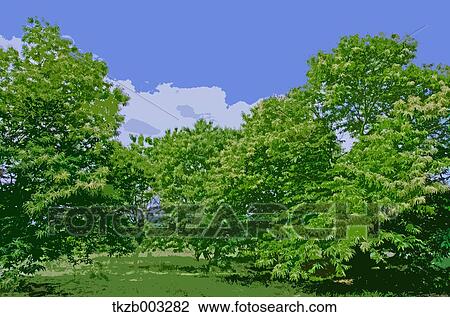 Greenery View Large Photo Image Stock Image - Greenery. Fotosearch