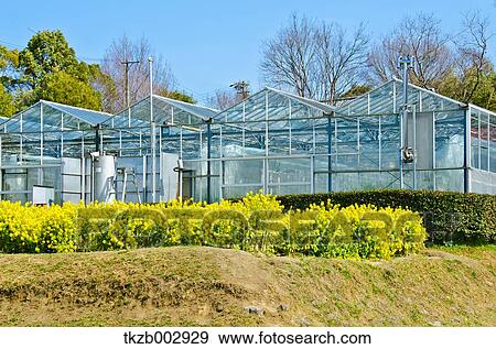 Stock Photo - Greenhouse. Fotosearch