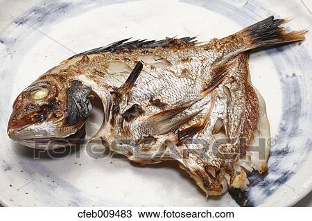 Grilled sea bream View Large Photo Image Stock Image - Grilled sea bream. Fotosearch