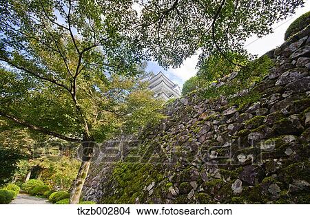Picture - Gujo Hachiman castle, Gifu Prefecture. Fotosearch