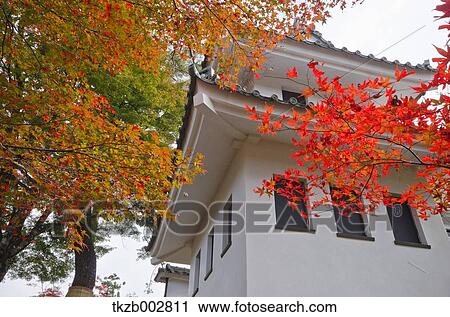 Gujo Hachiman castle, Gifu Prefecture View Large Photo Image Stock Image - Gujo Hachiman castle, Gifu Prefecture. Fotosearch