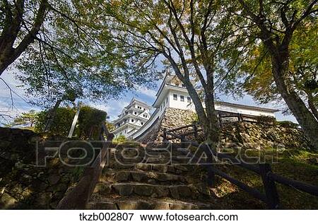 Gujo Hachiman castle, Gifu Prefecture View Large Photo Image Stock Photo - Gujo Hachiman castle, Gifu Prefecture. Fotosearch