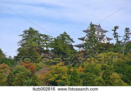 Gujo Hachiman Castle, Gifu Prefecture View Large Photo Image Stock Photograph - Gujo Hachiman Castle, Gifu Prefecture. Fotosearch