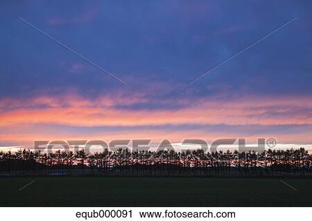 Stock Image - Hokkaido, Japan. Fotosearch