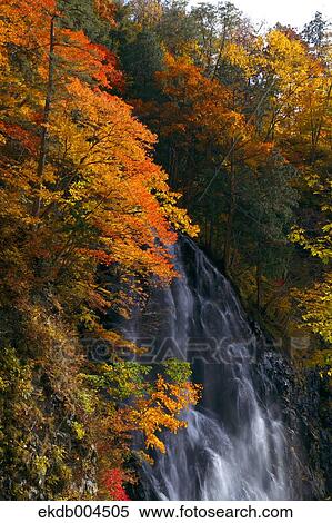 Ichino Waterfall, Akita Prefecture View Large Photo Image Stock Photography - Ichino Waterfall, Akita Prefecture. Fotosearch