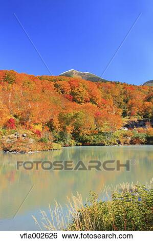 Stock Photograph - Jigoku Swamp, Aomori Prefecture. Fotosearch