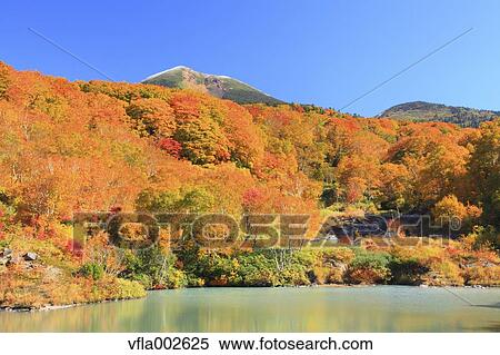 Jigoku Swamp, Aomori Prefecture View Large Photo Image Stock Photography - Jigoku Swamp, Aomori Prefecture. Fotosearch