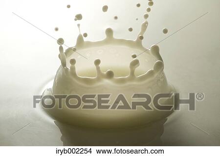 Milk crown View Large Photo Image Picture - Milk crown. Fotosearch