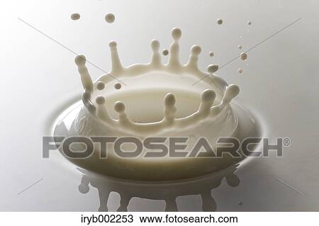 Milk crown View Large Photo Image Stock Image - Milk crown. Fotosearch