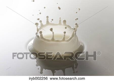 Milk crown View Large Photo Image Stock Photograph - Milk crown. Fotosearch