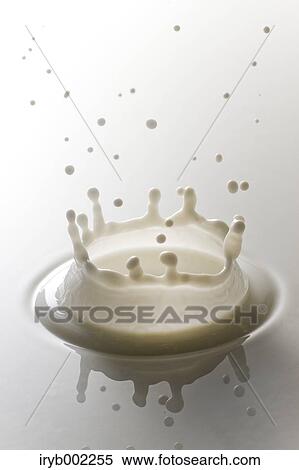 Milk crown View Large Photo Image Stock Photography - Milk crown. Fotosearch