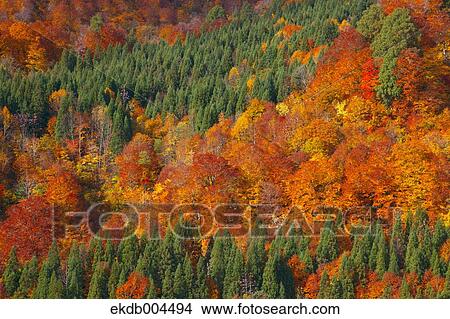 Mount Budomori, Akita Prefecture View Large Photo Image Picture - Mount Budomori, Akita Prefecture. Fotosearch