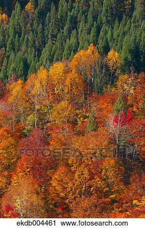 Mount Budomori, Akita Prefecture View Large Photo Image Stock Image - Mount Budomori, Akita Prefecture. Fotosearch