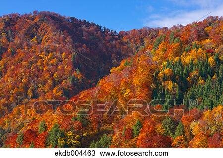 Mount Budomori, Akita Prefecture View Large Photo Image Stock Image - Mount Budomori, Akita Prefecture. Fotosearch
