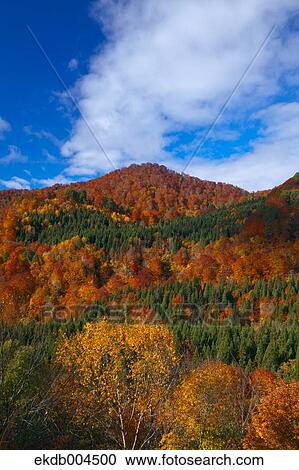 Mount Budomori, Akita Prefecture View Large Photo Image Stock Image - Mount Budomori, Akita Prefecture. Fotosearch