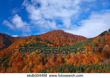 Mount Budomori, Akita Prefecture View Large Photo Image Stock Photo - Mount Budomori, Akita Prefecture. Fotosearch