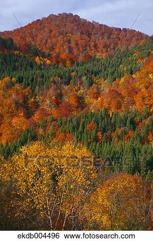 Mount Budomori, Akita Prefecture View Large Photo Image Stock Photograph - Mount Budomori, Akita Prefecture. Fotosearch