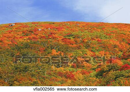 Stock Photography - Mount Chokai, Yamagata Prefecture. Fotosearch