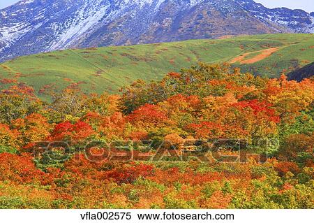 Mount Chokai, Yamagata Prefecture View Large Photo Image Stock Photography - Mount Chokai, Yamagata Prefecture. Fotosearch