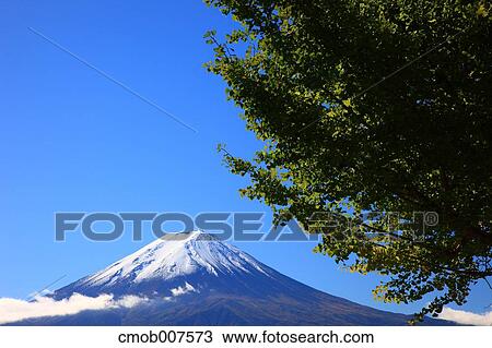 Mount Fuji View Large Photo Image Stock Image - Mount Fuji. Fotosearch