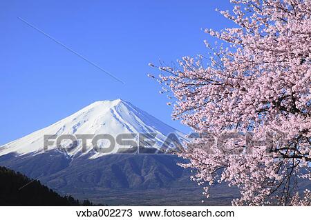 Stock Image - Mount Fuji. Fotosearch