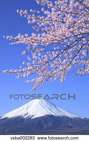 Mount Fuji View Large Photo Image Stock Image - Mount Fuji. Fotosearch