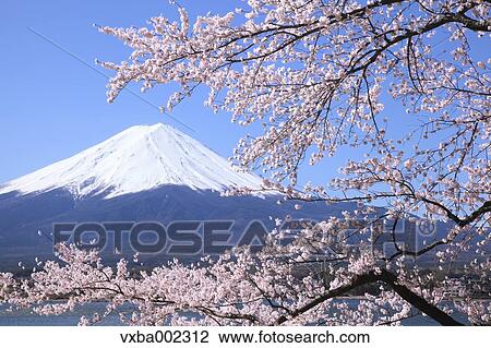 Mount Fuji View Large Photo Image Stock Image - Mount Fuji. Fotosearch
